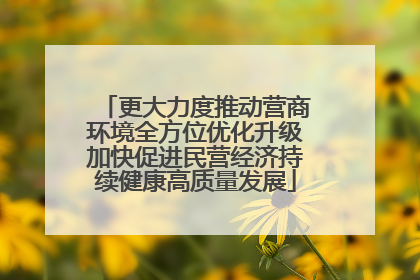 更大力度推动营商环境全方位优化升级加快促进民营经济持续健康高质量发展